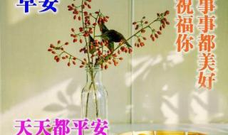 我最亲爱的短剧 我最亲爱的短剧