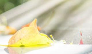 贝儿公主图书的内容是什么 贝儿公主动画片全集